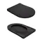 Унітаз підлоговий Qtap Robin Ultra Quiet безобідковий з сидінням Soft-close MATT BLACK QT13226083AMB