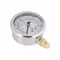 Манометр із гліцерином Thermo Alliancе Forte 4 бар, 1/4"З, нижнє підключення TAF170G4B