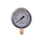 Манометр із гліцерином Thermo Alliancе Forte 4 бар, 1/4"З, нижнє підключення TAF170G4B
