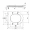 Сидіння для унітаза Qtap (Robin 490) 425x363x50 мм, Matt Black, з мікроліфтом Slim Duroplast, Quick Release QTSC179MB48676
