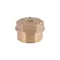 Заглушка Thermo Alliance Standart 3/4" ЗР SD40320