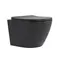 Унітаз підвісний Qtap Robin Ultra Quiet 520×365×340 мм, Anthracite, з сидінням Slim Duroplast / Soft-close / Quick Release QTROB26AN48995
