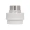 Муфта PPR Thermo Alliance 63х2" ЗР