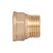 Перехідник Thermo Alliance Standart 1/2"х1/2" ВЗ SD4091515Р