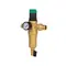 Фільтр самопромивний Thermo Alliance Forte 3/4" з редуктором для горячої води SF128W20H