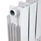 Радіатор біметалічний Thermo Alliance Bi-Ferrum 300/100 1,15 кг