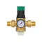 Фільтр самопромивний Thermo Alliance Forte 3/4" з редуктором для холодної води SF128W20