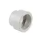 Муфта PPR Thermo Alliance 63х50