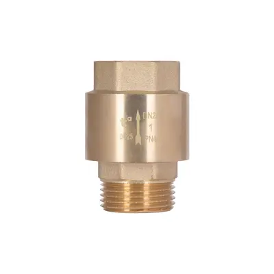 Клапан зворотний Thermo Alliance Standart 1"ВЗ із латунним штоком TAS248W25