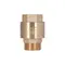 Клапан зворотний Thermo Alliance Standart 1"ВЗ із латунним штоком TAS248W25