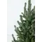 Ялинка лита "Віденська" в горщику зелена 0,90м
