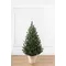 Ялинка лита "Віденська" в горщику зелена 0,90м