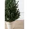 Ялинка лита "Віденська" в горщику зелена 0,90м