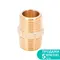 З'єднання MT 1/2" × 1/2" (латунь) SIGMA (7025331) З'єднання MT 1/2" × 1/2" (латунь) SIGMA (7025331)