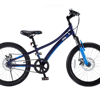 Велосипед детский RoyalBaby Chipmunk Explorer 20", OFFICIAL UA, синий