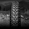 Покрышка Continental Race King, 29 x 2.00, черная, не складная skin