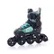 Роликовые коньки Tempish DASTY Boy/37-40