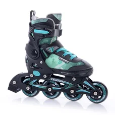 Роликовые коньки Tempish DASTY Boy/41-43