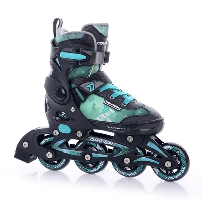 Роликовые коньки Tempish DASTY Boy/41-43