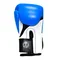 Перчатки боксерские THOR PRO KING 16oz /Кожа /сине-бело-черные