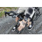 Фара Knog PWR Rider 450 Lumens