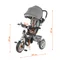 Велосипед детский 3х колесный Kidzmotion Tobi Pro GREEN
