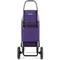 Сумка-візок Rolser I-Max MF 2LRSG More (IMX308-1008)
