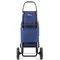 Сумка-візок Rolser I-Max MF 2LRSG Klein (IMX308-1062)