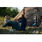 Намет десятимісний Easy Camp Moonlight Cabin Grey (120444)