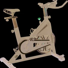 Сайкл-тренажер Toorx Indoor Cycle SRX 60EVO (SRX-60EVO)
