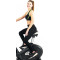 Велоергометр Toorx Upright Bike BRX 100 ERGO (BRX-100ERGO)