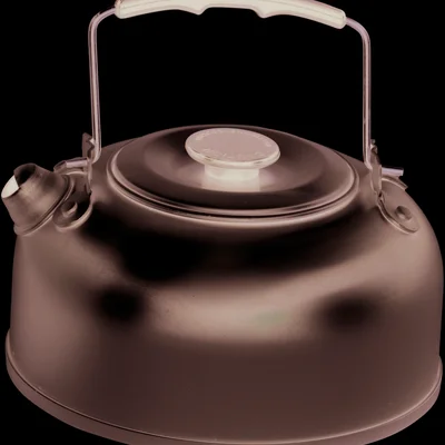 Чайник туристичний Easy Camp Compact Kettle 0.9L Silver (580080)