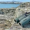 Бінокль Kowa BD II 10x32 XD (11897)