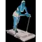 Бігова доріжка Toorx Treadmill City Compact Pearl White (CITY-COMPACT-W)