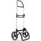 Сумка-візок Rolser I-Max MF 2LRSG Lima (IMX308-1014)