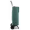 Сумка-візок Rolser Neo LN Joy Verde (NEO001-1002)