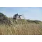 Підзорна труба Kowa TSN-82SV 82 mm Angled (10565)