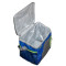 Термосумка THERMOS RADIANCE 24Can Cooler, 15 л