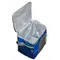 Термосумка THERMOS RADIANCE 24Can Cooler, 15 л
