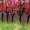 Бордюр садовий Prosperplast GARDEN LINE, коричневий, 10 м