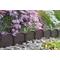Бордюр садовий Prosperplast GARDEN LINE, коричневий, 10 м