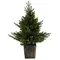 Ялинка штучна Chomik в горщику, 90 LED ламп, висота 90 см