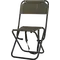 Стілець Р-22 зі спинкою Time Eco