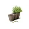 Горщик для квітів Keter Ivy Herbs 7.5 л.