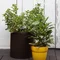 Набір горщиків для квітів Keter Cylinder Planter Set, коричневий