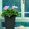 Горщик для рослин Keter Rattan Planter S (small) 23,6 л