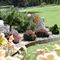 Бордюр садовий Prosperplast GARDEN BORDER, коричневий, 3,9 м