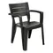 Стілець садовий пластиковий BICA EMMA, графіт