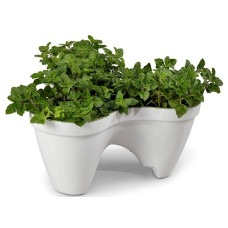 Горщик для квітів Keter 7,5 л. IVY Planter