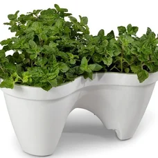 Горщик для квітів Keter 7,5 л. IVY Planter